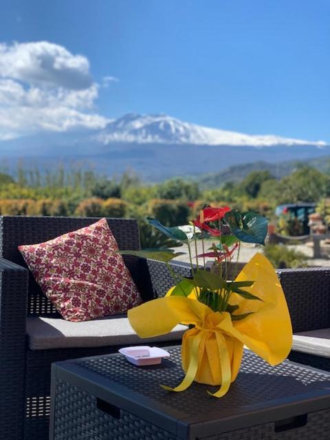 La Pomelia B&B Sofia Trappitello Luaran gambar