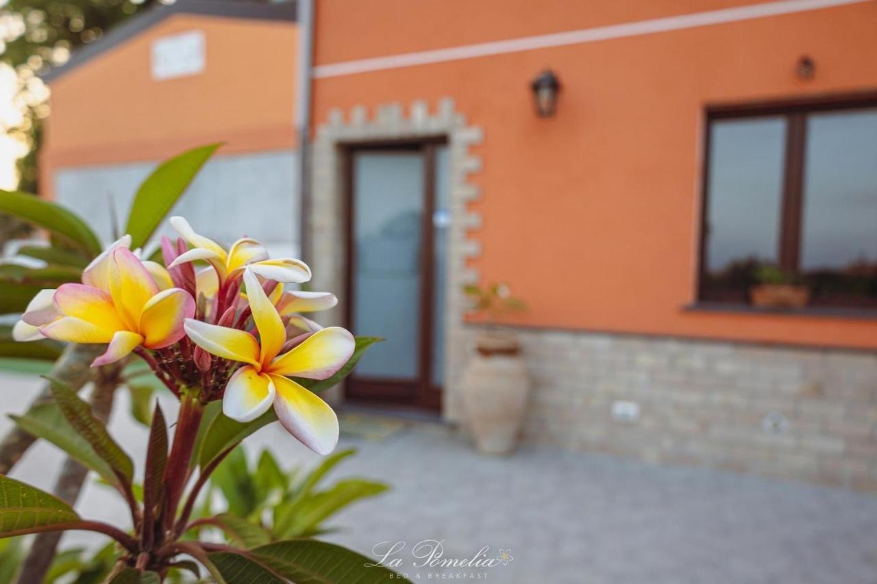 La Pomelia B&B Sofia Trappitello Luaran gambar